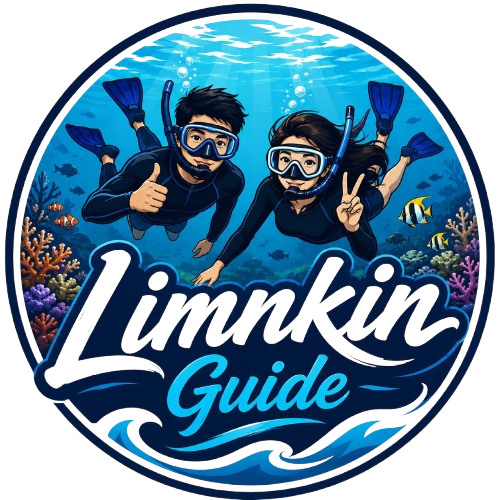 Lin Kim Guide