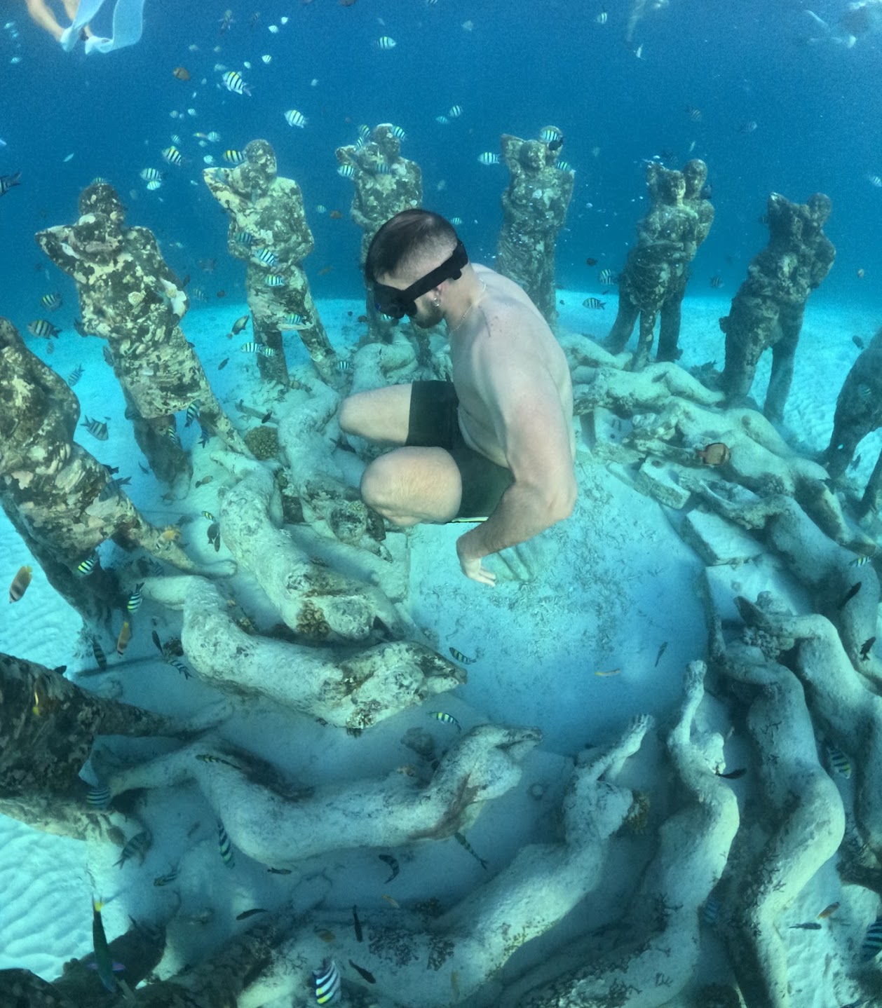 Snorkeling Trip